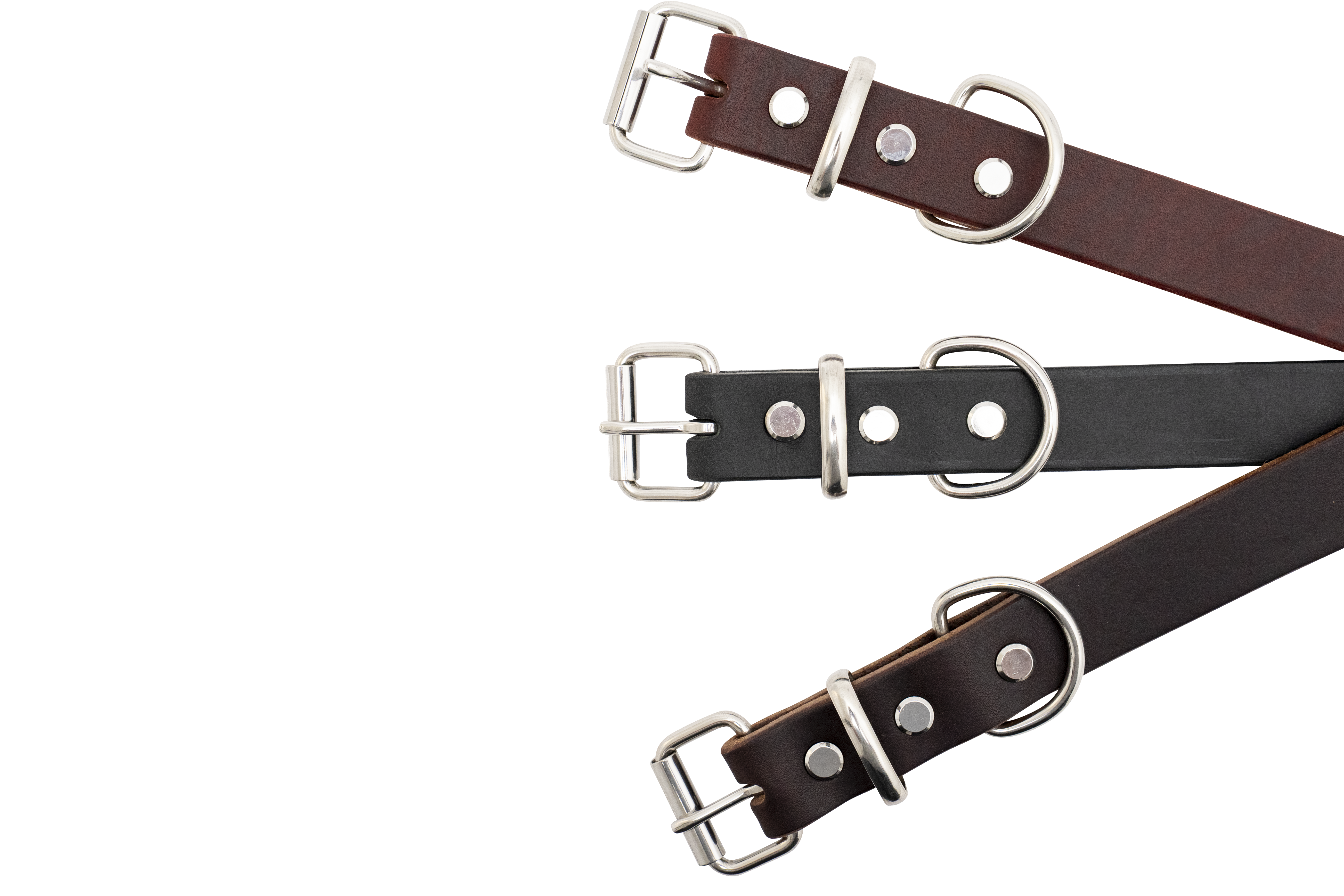 Detail of Canis Luxury handmade leather dog collar with polished stainless steel hardware.