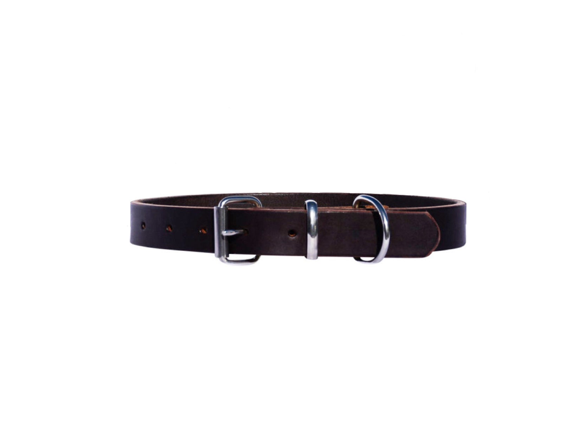Canis Luxury Premium Leather Dog Collar