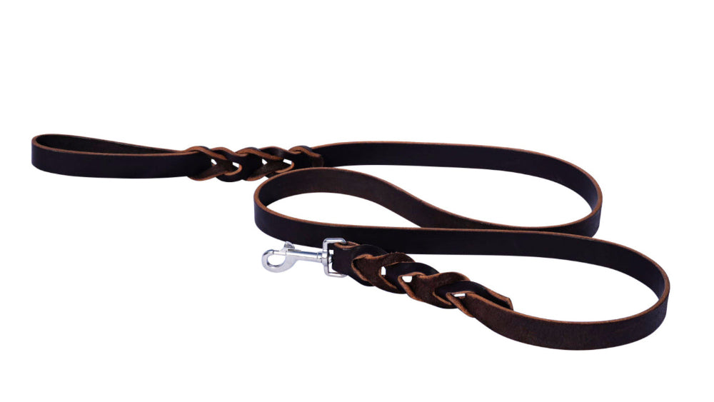 Premium Leather Dog Leash for Adventure