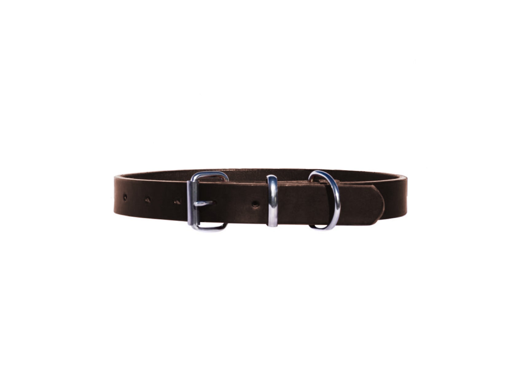 Premium Leather Dark Brown Dog Collar